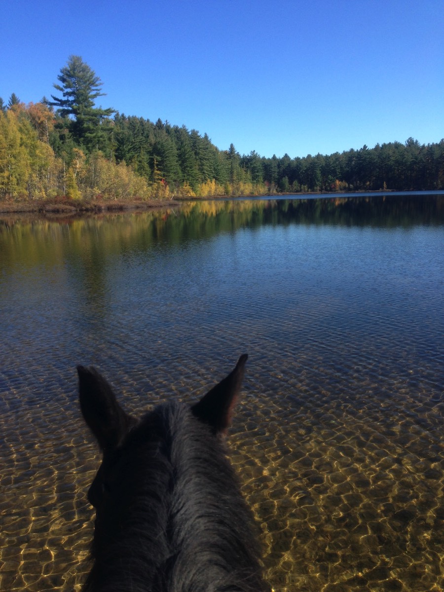 Horse Trails at Otter Creek
