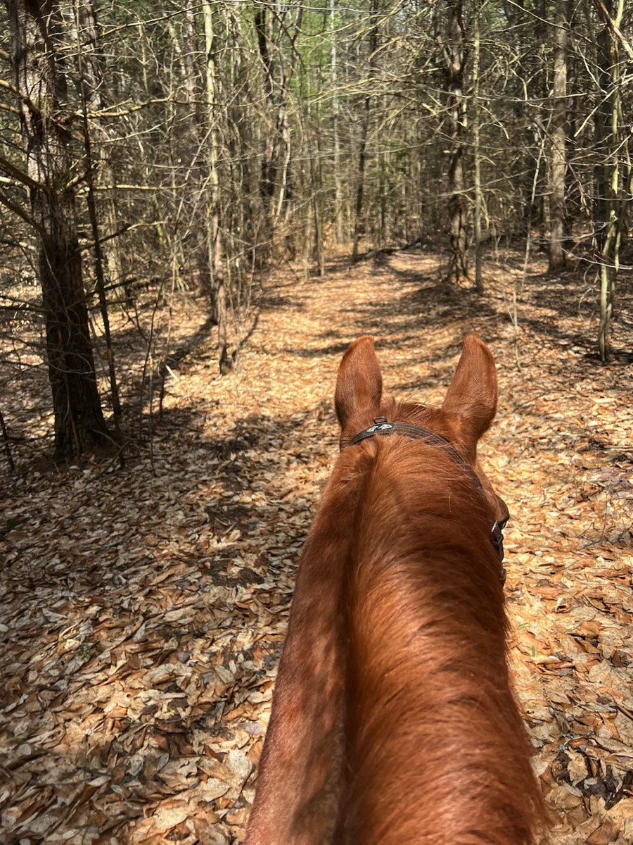 Horse Trails at Otter Creek